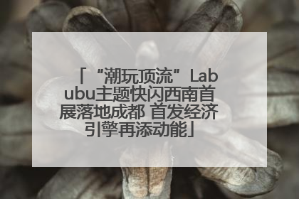 “潮玩顶流”Labubu主题快闪西南首展落地成都 首发经济引擎再添动能