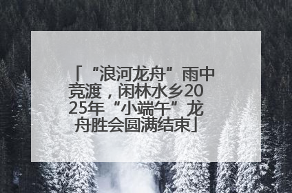 “浪河龙舟”雨中竞渡，闲林水乡2025年“小端午”龙舟胜会圆满结束