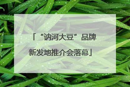 “讷河大豆”品牌新发地推介会落幕