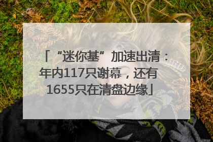 “迷你基”加速出清：年内117只谢幕，还有1655只在清盘边缘