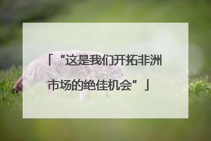 “这是我们开拓非洲市场的绝佳机会”
