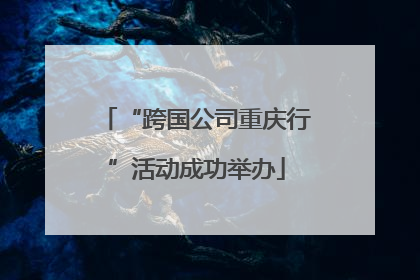 “跨国公司重庆行”活动成功举办