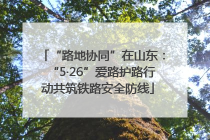 “路地协同”在山东：“5·26”爱路护路行动共筑铁路安全防线