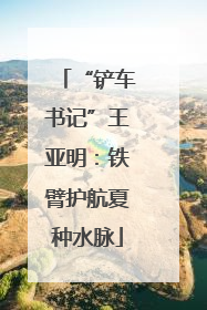 “铲车书记”王亚明：铁臂护航夏种水脉