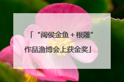 “闽侯金鱼＋根雕”作品渔博会上获金奖