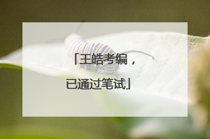 王皓考编，已通过笔试