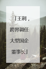 王利，跨界调任大型国企董事长