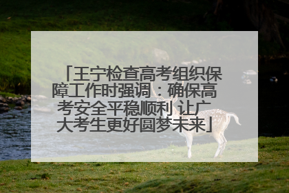 王宁检查高考组织保障工作时强调：确保高考安全平稳顺利 让广大考生更好圆梦未来