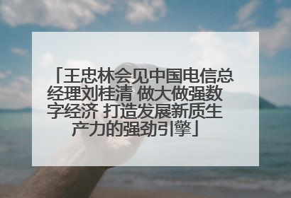 王忠林会见中国电信总经理刘桂清 做大做强数字经济 打造发展新质生产力的强劲引擎