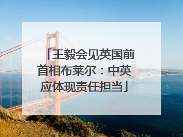 王毅会见英国前首相布莱尔：中英应体现责任担当