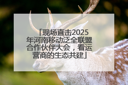 现场直击2025年河南移动泛全联盟合作伙伴大会，看运营商的生态共建