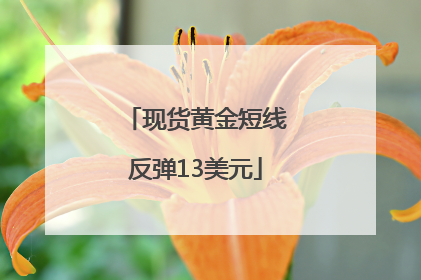 现货黄金短线反弹13美元