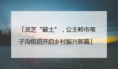 灵芝“破土”，公主岭市苇子沟街道开启乡村振兴新篇