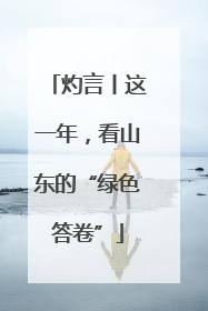 灼言丨这一年，看山东的“绿色答卷”