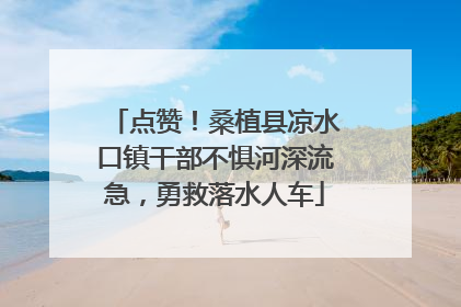 点赞！桑植县凉水口镇干部不惧河深流急，勇救落水人车
