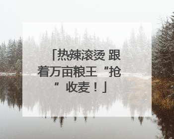 热辣滚烫 跟着万亩粮王“抢”收麦！