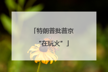 特朗普批普京“在玩火”