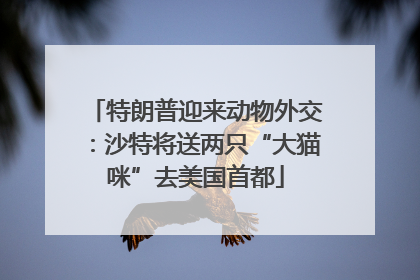 特朗普迎来动物外交：沙特将送两只“大猫咪”去美国首都