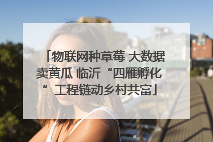 物联网种草莓 大数据卖黄瓜 临沂“四雁孵化”工程链动乡村共富