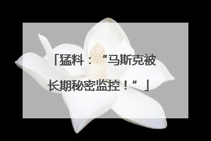 猛料：“马斯克被长期秘密监控！”