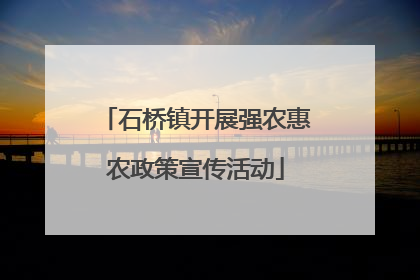 石桥镇开展强农惠农政策宣传活动