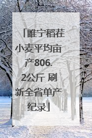 睢宁稻茬小麦平均亩产806.2公斤 刷新全省单产纪录