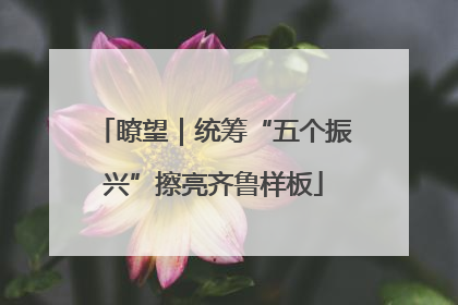 瞭望｜统筹“五个振兴”擦亮齐鲁样板