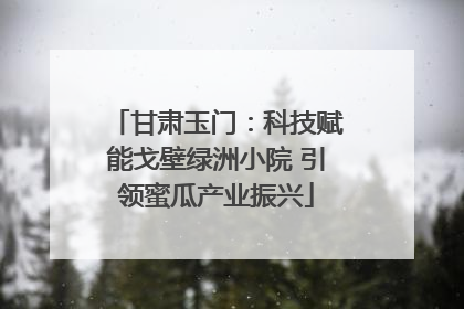 甘肃玉门：科技赋能戈壁绿洲小院 引领蜜瓜产业振兴