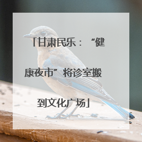 甘肃民乐：“健康夜市”将诊室搬到文化广场
