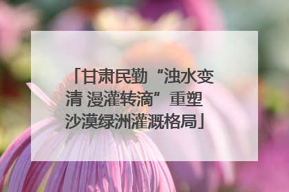 甘肃民勤“浊水变清 漫灌转滴”重塑沙漠绿洲灌溉格局