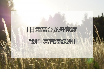 甘肃高台龙舟竞渡“划”亮荒漠绿洲