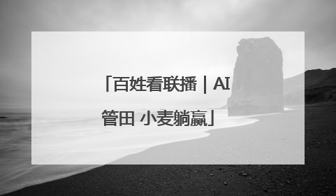 百姓看联播｜AI管田 小麦躺赢