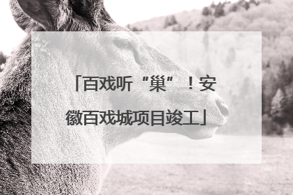 百戏听“巢”！安徽百戏城项目竣工