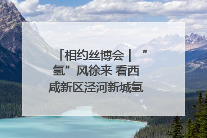相约丝博会｜“氢”风徐来 看西咸新区泾河新城氢能产业聚链成势