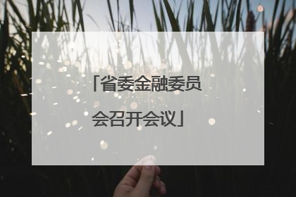 省委金融委员会召开会议