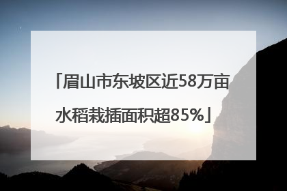 眉山市东坡区近58万亩水稻栽插面积超85%