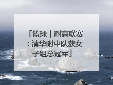 篮球｜耐高联赛：清华附中队获女子组总冠军