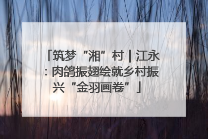 筑梦“湘”村｜江永：肉鸽振翅绘就乡村振兴“金羽画卷”