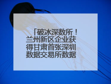 破冰深数所！兰州新区企业获得甘肃首张深圳数据交易所数据产权登记证书