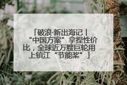 破浪·新出海记丨 “中国方案”拿捏性价比，全球近万艘巨轮用上镇江“节能桨”