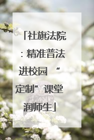 社旗法院：精准普法进校园 “定制”课堂润师生