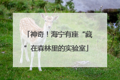 神奇！海宁有座“藏”在森林里的实验室