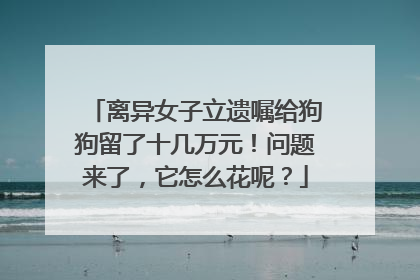 离异女子立遗嘱给狗狗留了十几万元！问题来了，它怎么花呢？