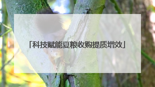 科技赋能夏粮收购提质增效