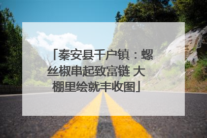 秦安县千户镇：螺丝椒串起致富链 大棚里绘就丰收图