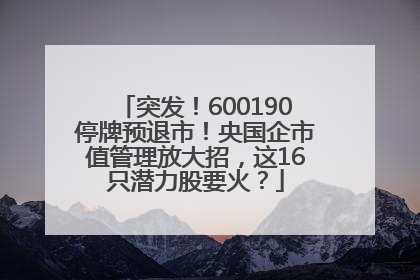 突发！600190停牌预退市！央国企市值管理放大招，这16只潜力股要火？