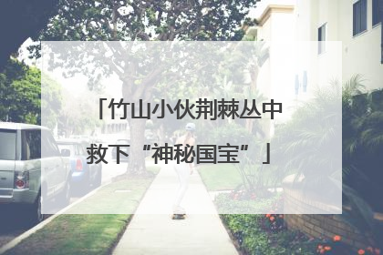 竹山小伙荆棘丛中救下“神秘国宝”