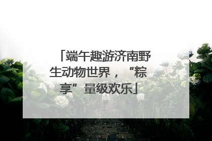 端午趣游济南野生动物世界，“粽享”量级欢乐