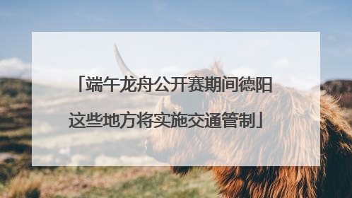 端午龙舟公开赛期间德阳这些地方将实施交通管制