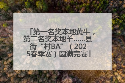 第一名奖本地黄牛，第二名奖本地羊……县街“村BA”（2025春季赛）圆满完赛